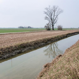 Collettore Alfiere, rilievi topografici